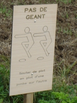 13.Pas de géant