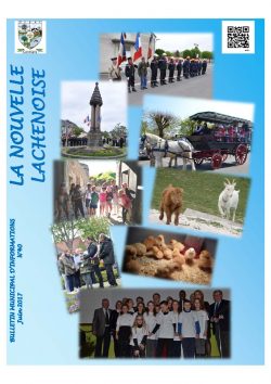 La Nouvelle Lachenoise Juin 2017
