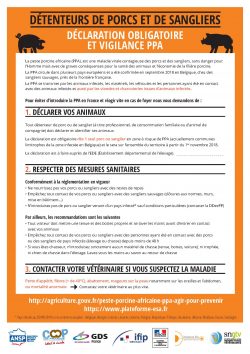 Fiche PPA