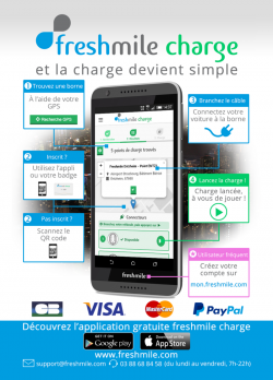 Image borne électrique