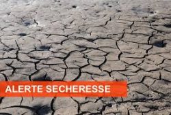 sécheresse