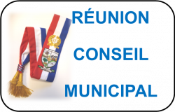Conseil Municipal Réunion