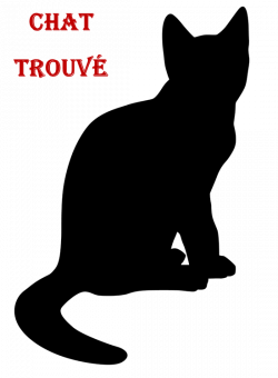 chat trouvé
