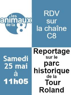 Reportage Tour Roland