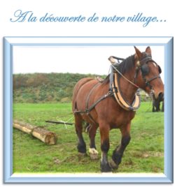 0_cheval